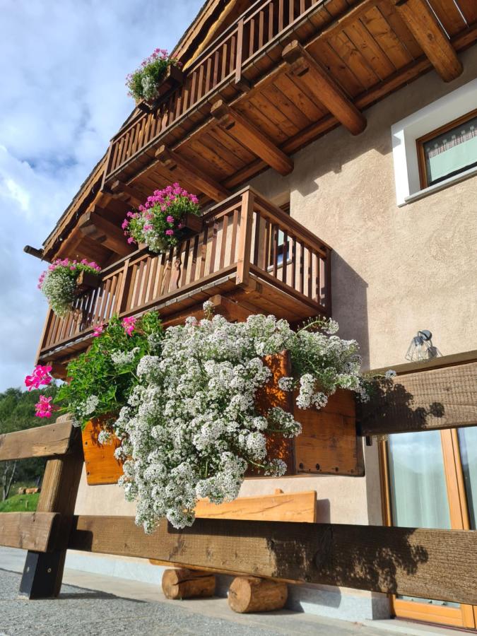 La Maison. La Roccia dello Stambecco - B&B
