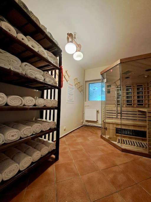 Dom w Karkonoszach z basenem 5 sypialni - Chambres d'hôtes Kowary