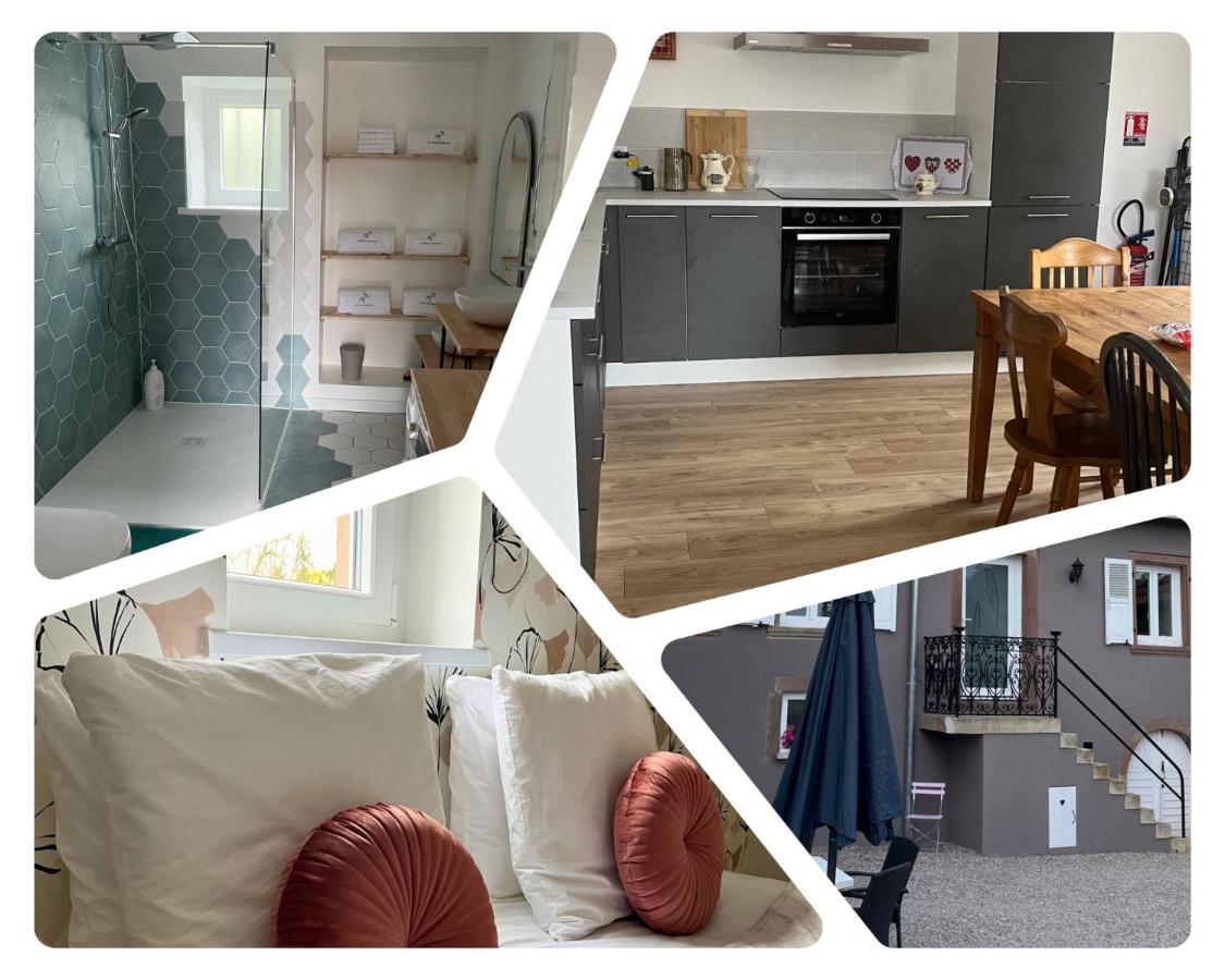 Le gîte des cigogneaux - B&B Schwenheim