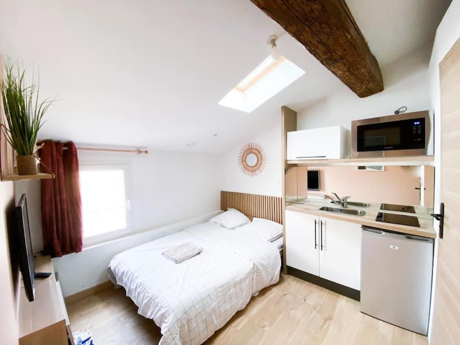 Tiny Flat - Coeur de ville studio sous les toits - Bed and Breakfast Nîmes