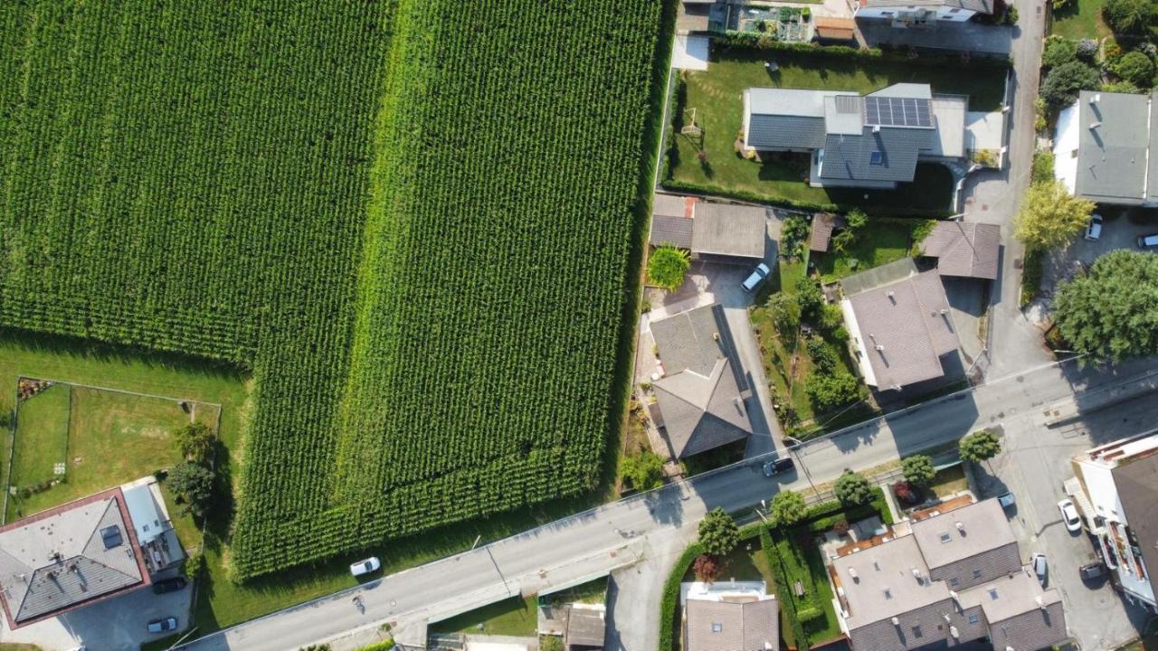 B&B Colli's Dolomites - B&B Belluno