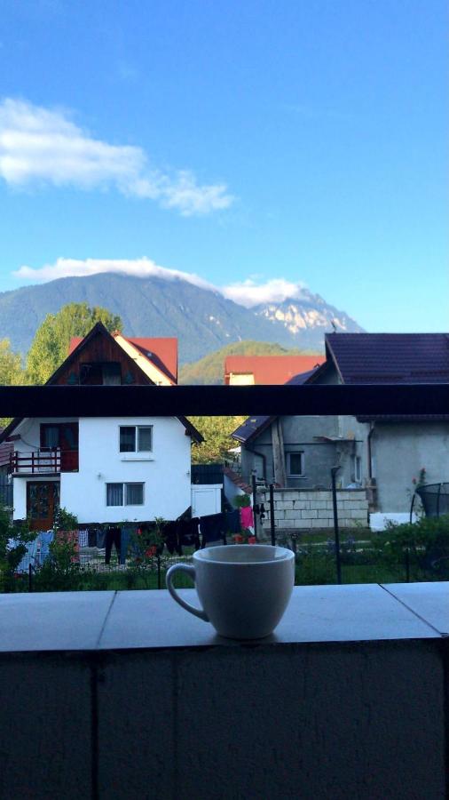 Piatra Craiului Residence Zărnești - Ferienwohnung Zărneşti