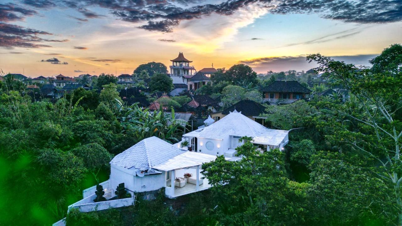 Exclusive 3BR Celebrity Villa - Ice Bath - Sauna - Jacuzzi - Outdoor Gym - BBQ - Stunning Rice Field & Jungle Views - Chambres d'hôtes Ubud