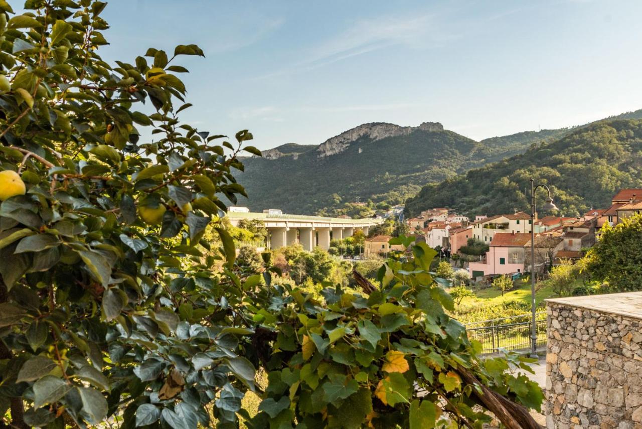 RivieraRent Ca Bassi - B&B