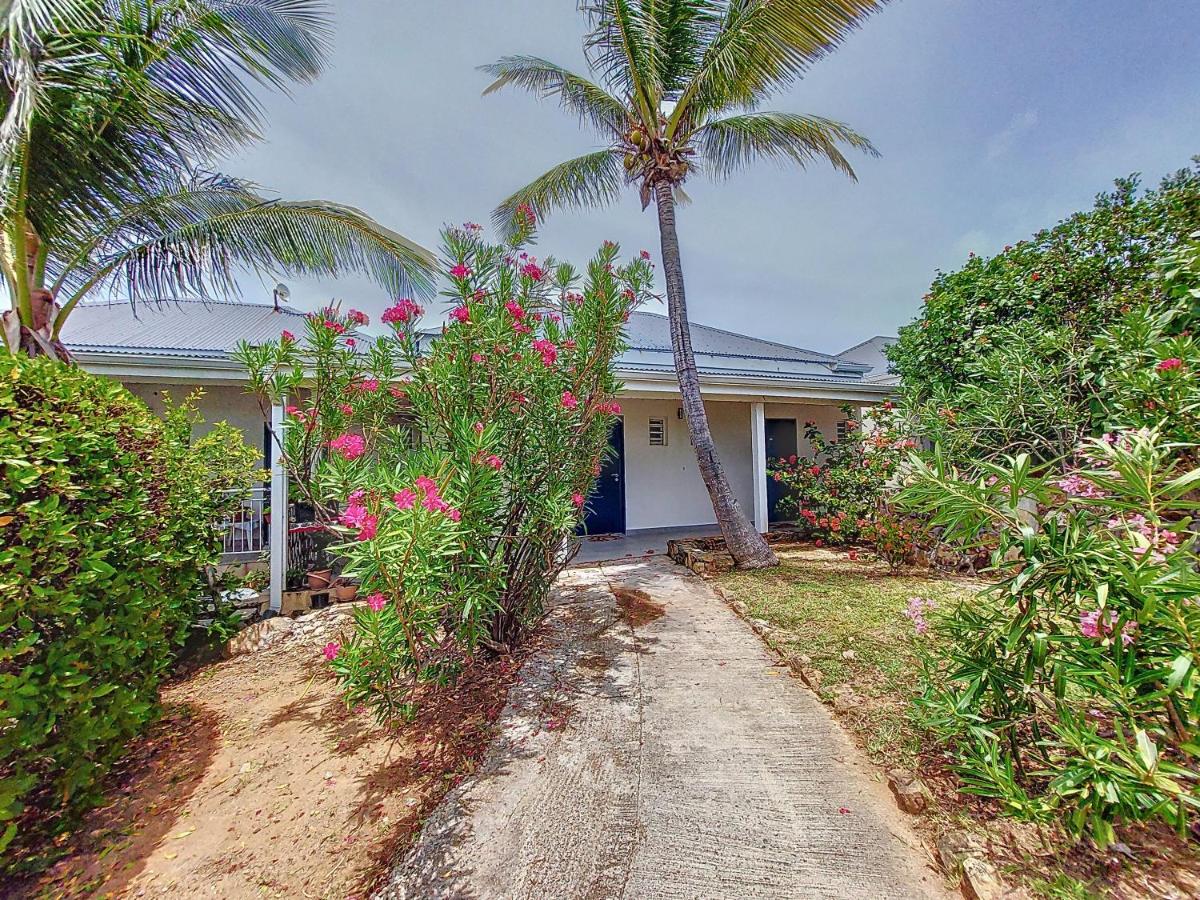 La pinta SXM - B&B Oyster Pond