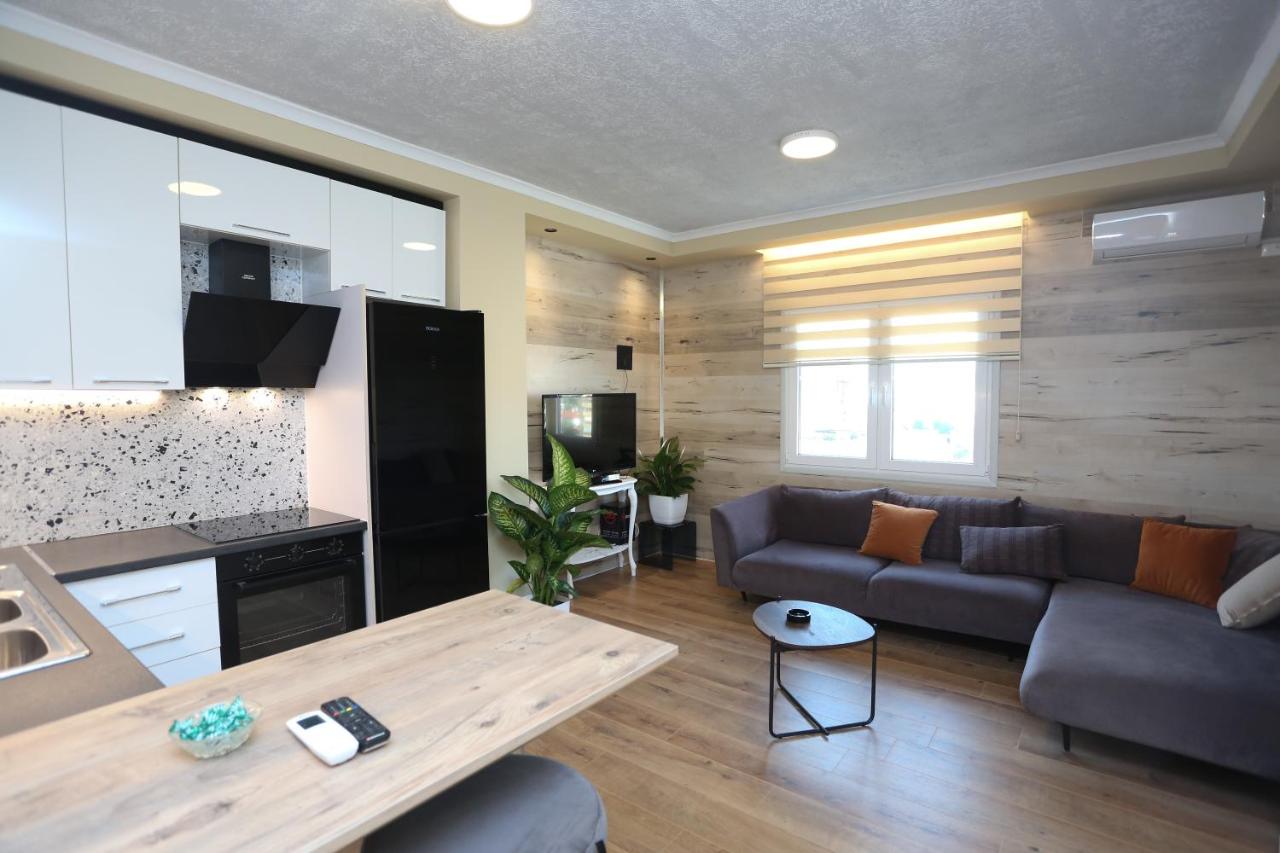 David Center Apartment - B&B