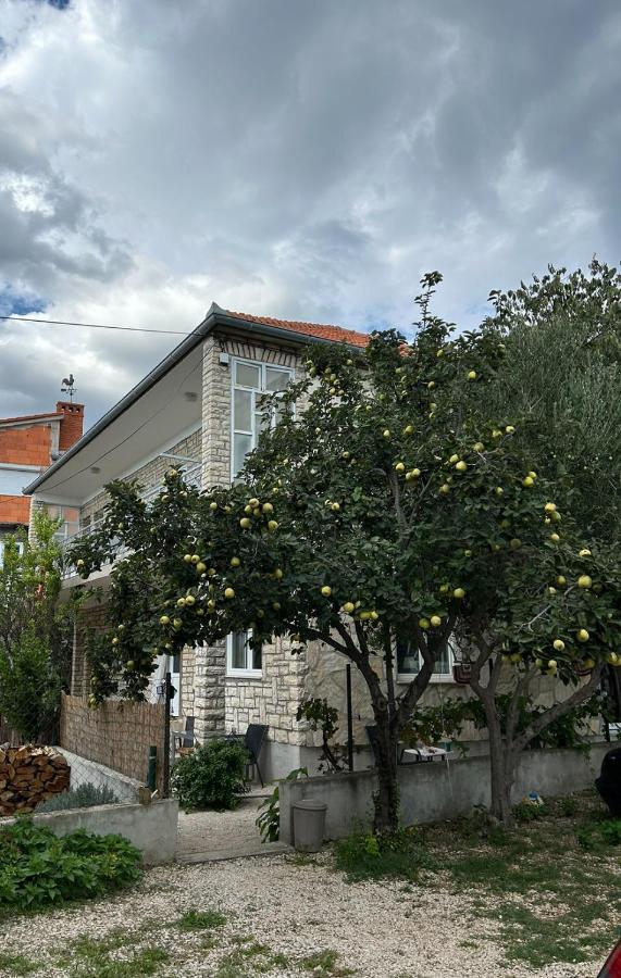 Villa Jadran Zadar free parking sea view - B&B