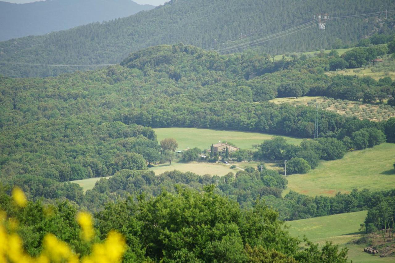 MIMOSA at Pietraie a nice studio with terrace on the Valley - Ferienwohnung Montecastelli Pisano