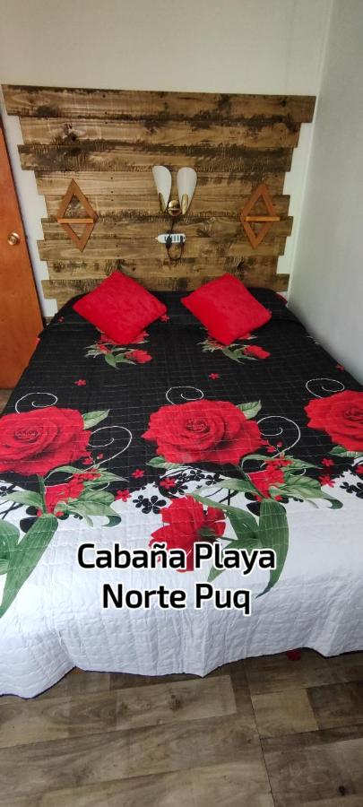 Cabaña Playa Norte Puq cabaña 2 - B&B Punta Arenas
