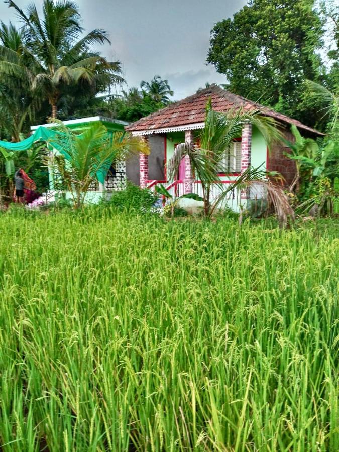 Vismay Farm Stay - B&B