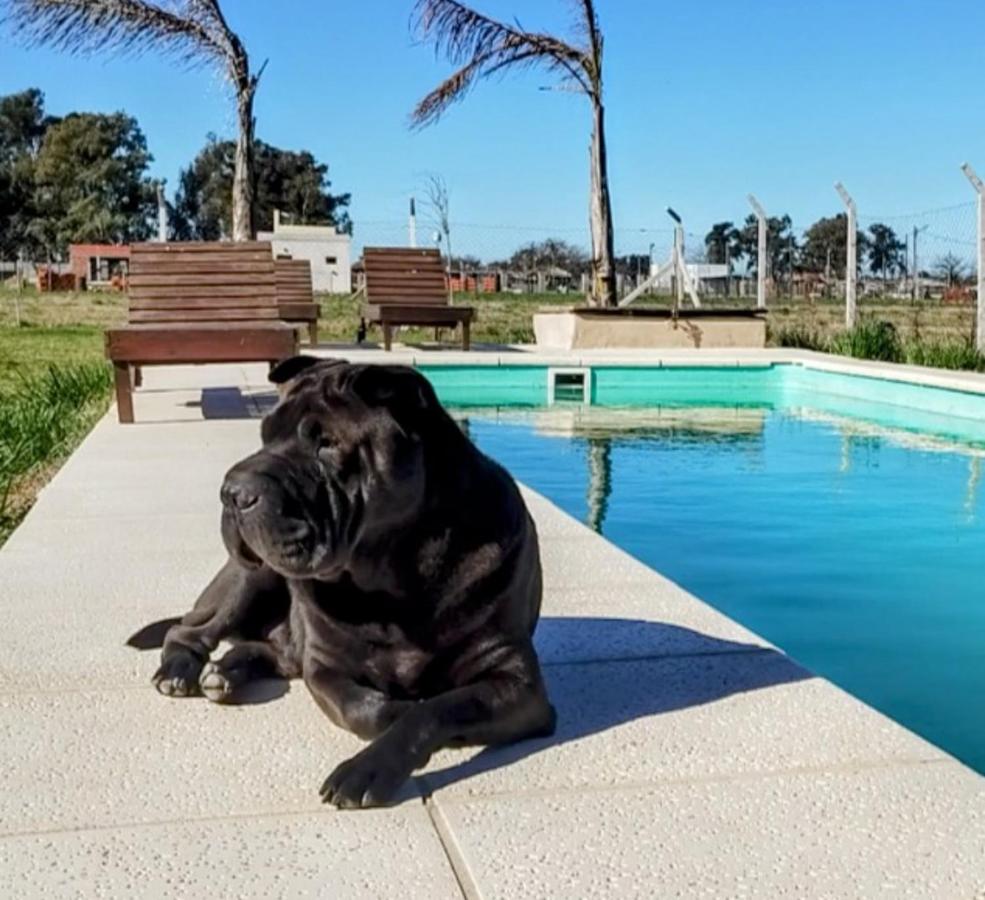 Quinta La Hortensia y El Gauchito - Bed and Breakfast