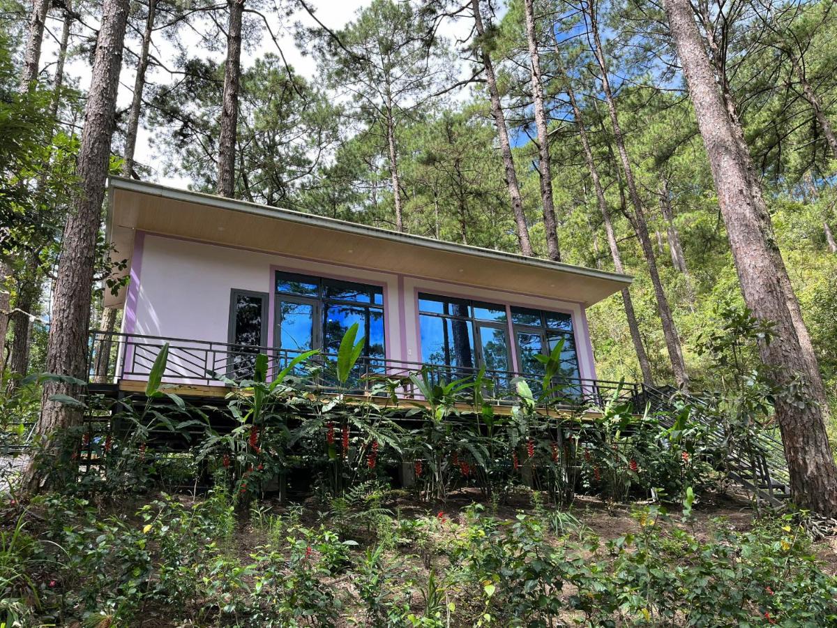Hodota Ankroet Resort & Camping - Ferienwohnung Ấp Kroët