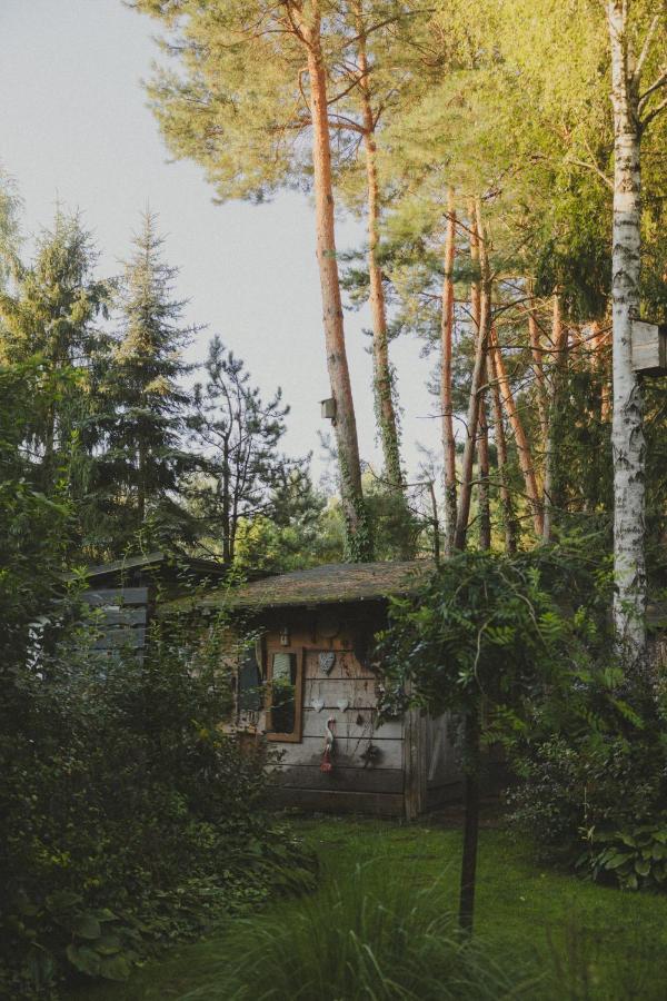 Przystanek Zielnik - Bed and Breakfast
