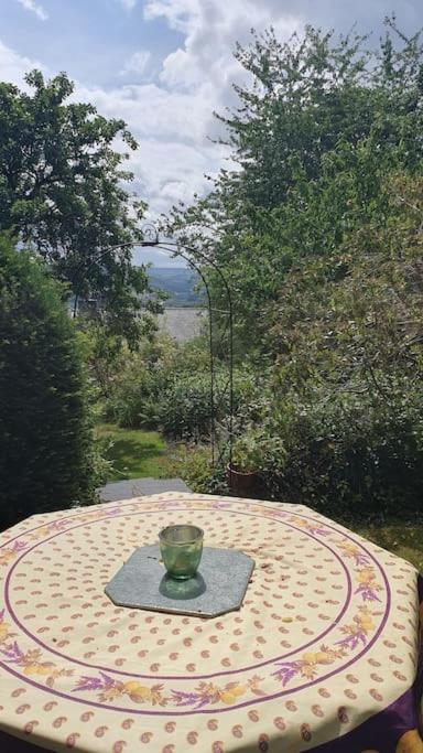 Yr Hen Efail Cosy 1 bedroom Cottage, with fireplace and garden - B&B Llanbedr-y-cennin