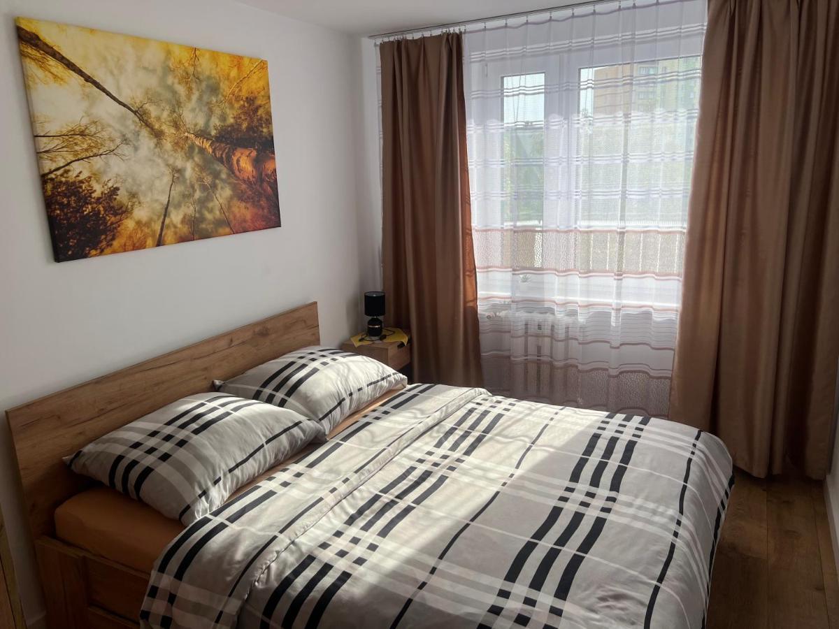 Apartment mit 1 Schlafzimmer