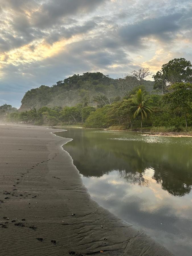Tropical Camas hostel - Bed and Breakfast Pochotal