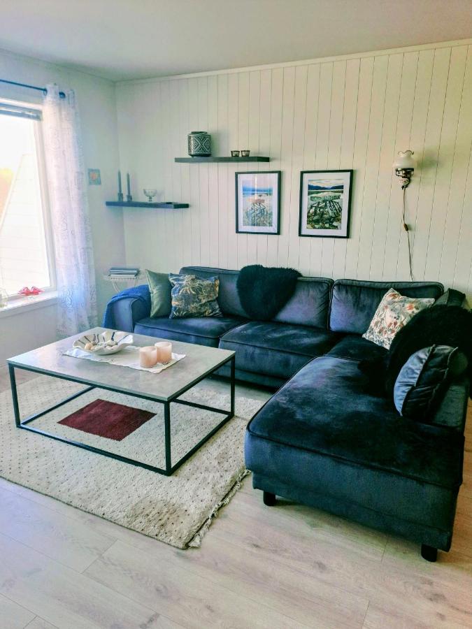 Beautiful Lofoten well equipped nice apartment - Ferienwohnung Gravdal