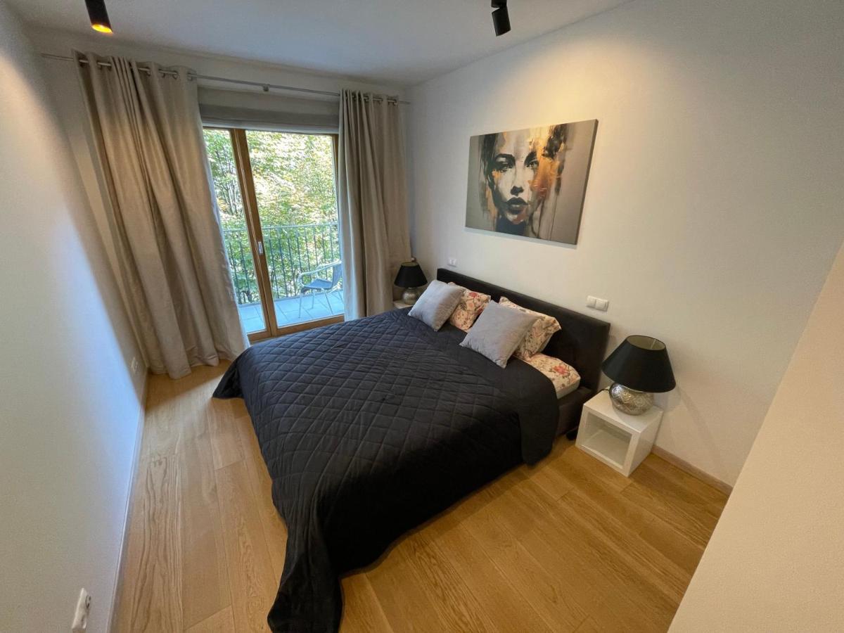 Deluxe One-Bedroom Apartment