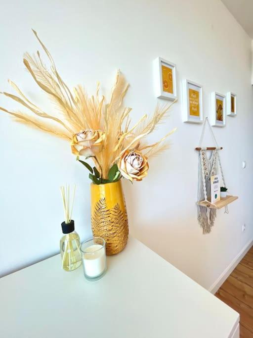 Domus da Ria - Alboi III - Chambres d’hôtes Aveiro