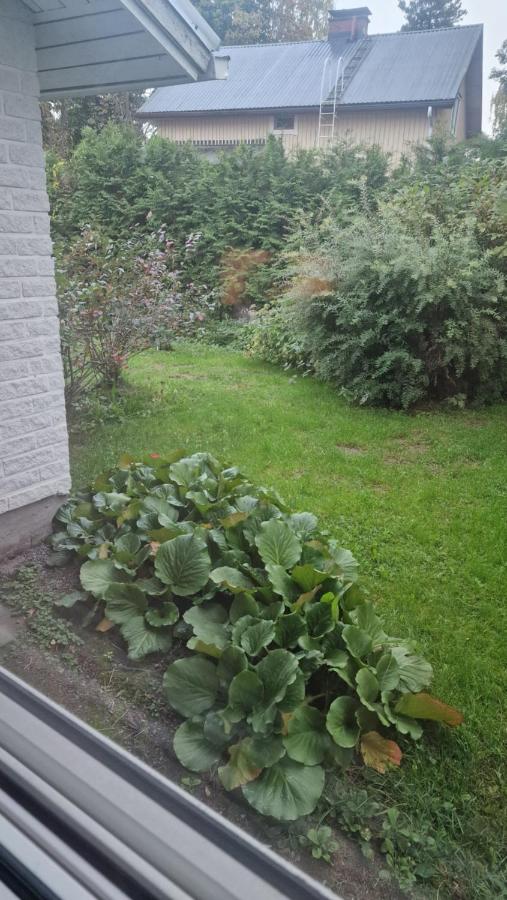 Kodikas koti - Ferienwohnung