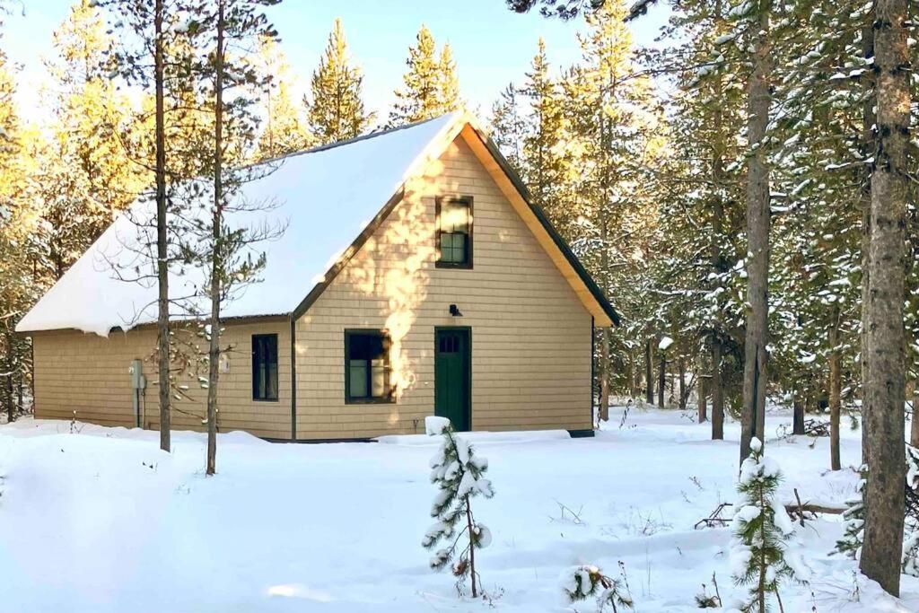Brand NEW Cabin in the pines - B&B