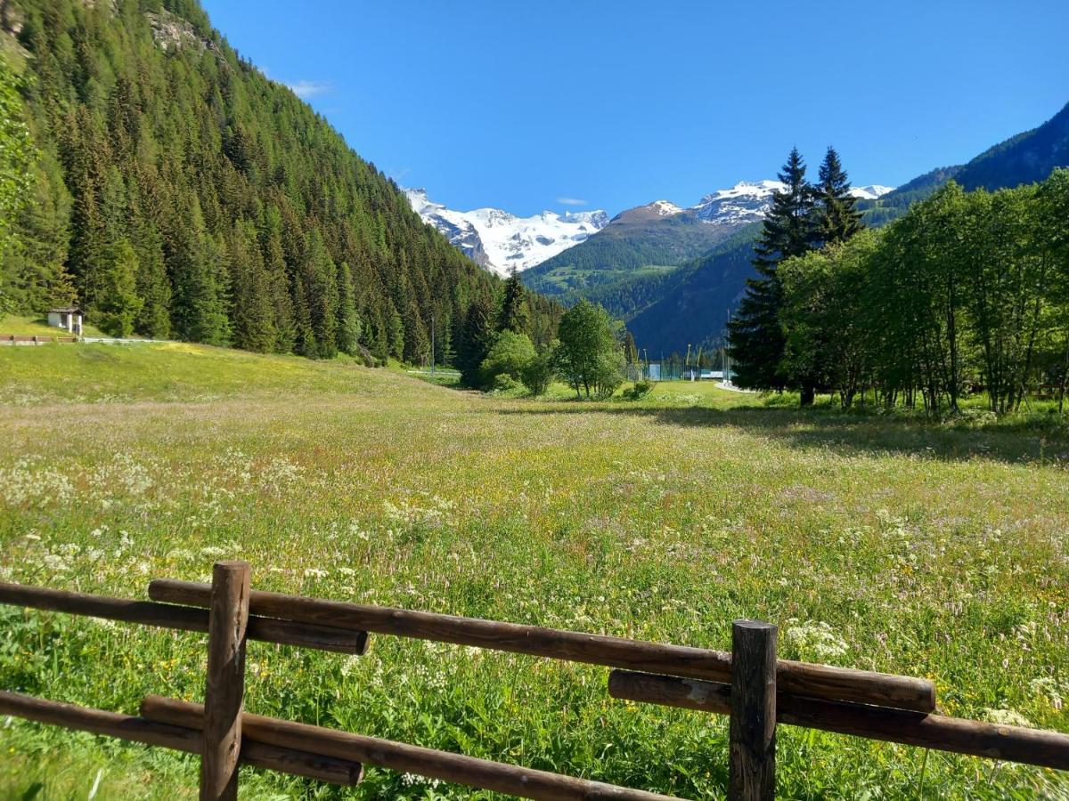 Chez Umbus, centrale e immerso nel verde, grande terrazzo - B&B
