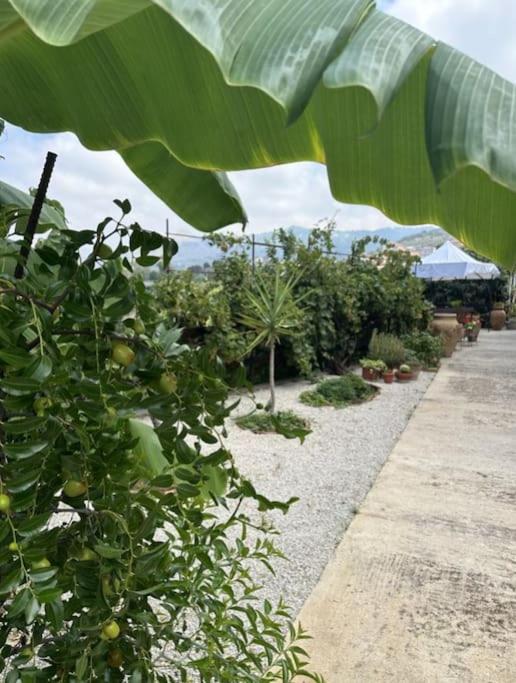 Casetta a Cavarretta - B&B Sant'Agata di Militello