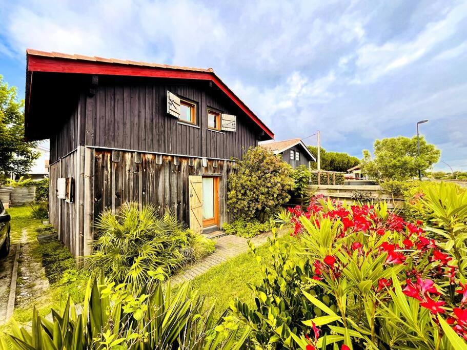 Maison en bois en 2ème ligne - B&B