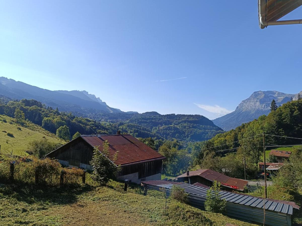 Chalet Saint-François-de-Sales - Arâches-La-Frasse - Ferienwohnung
