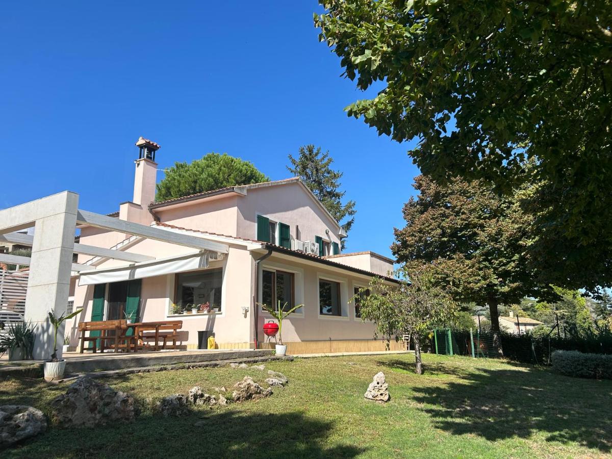 Aspasia B&B - B&B