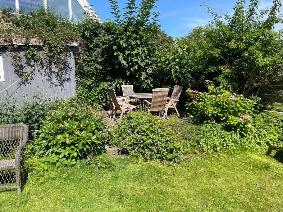 Smuk lejlighed med sundkig lige ved stranden - B&B