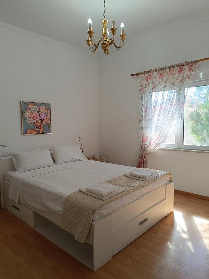 Appartamento Standard con 2 Camere da Letto