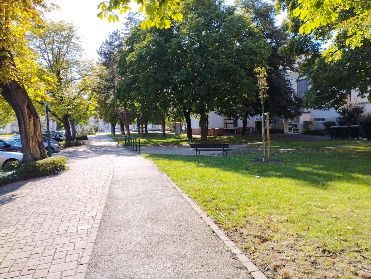 Apartement 2 rooms Saint Louis - Euroairport - Basel - Train station - B&B