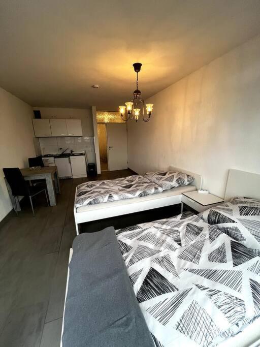 Gemütliches Appartement-Zentral - Ferienwohnung