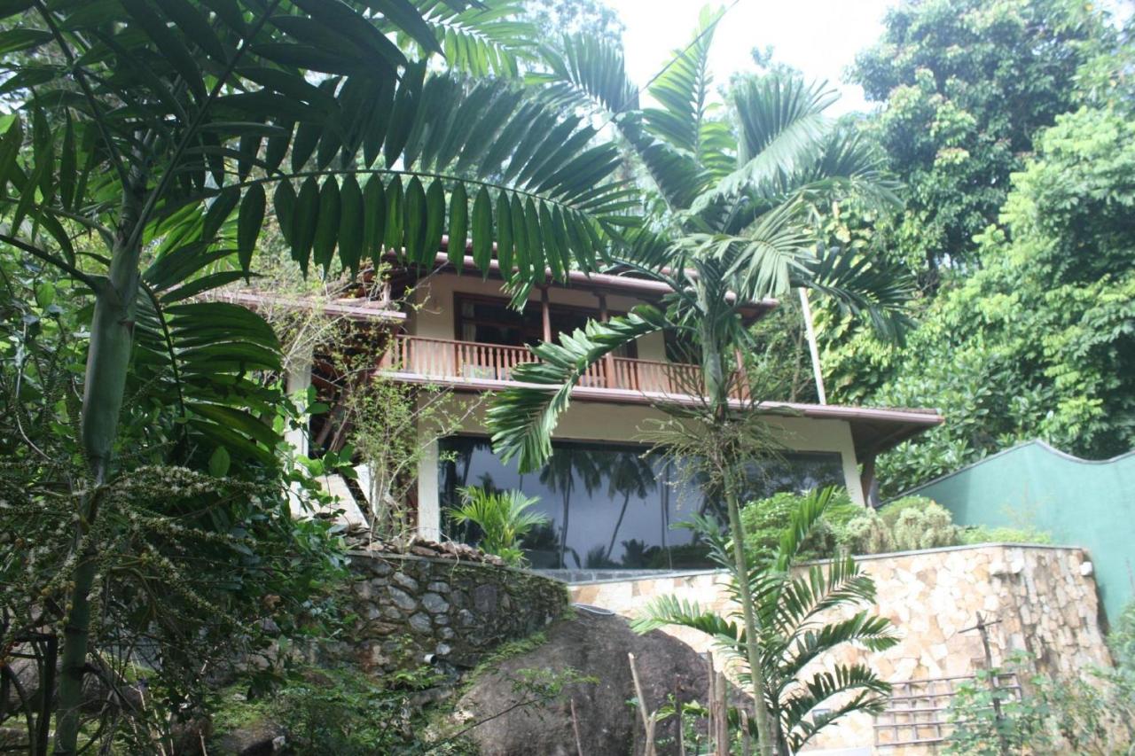 Tranquil Retreat - Bed and Breakfast