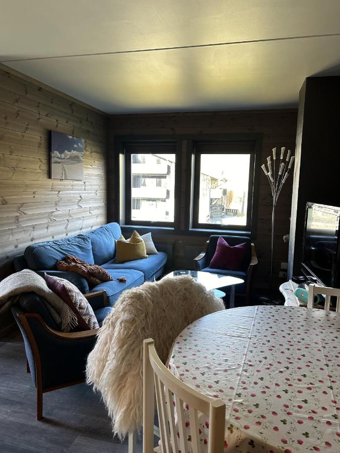 Kozy apartment in Hemsedal, centrally located - B&B