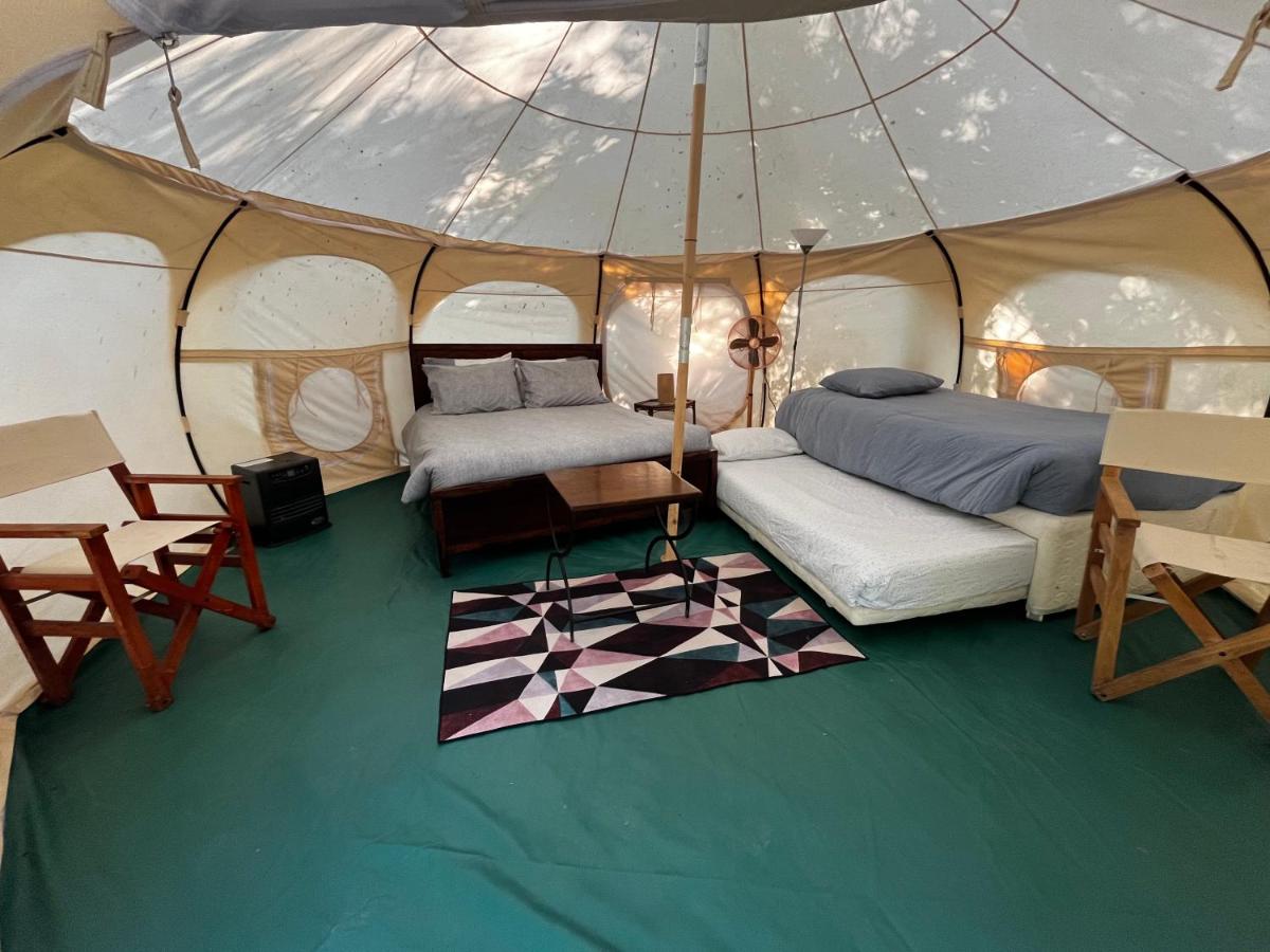Tent