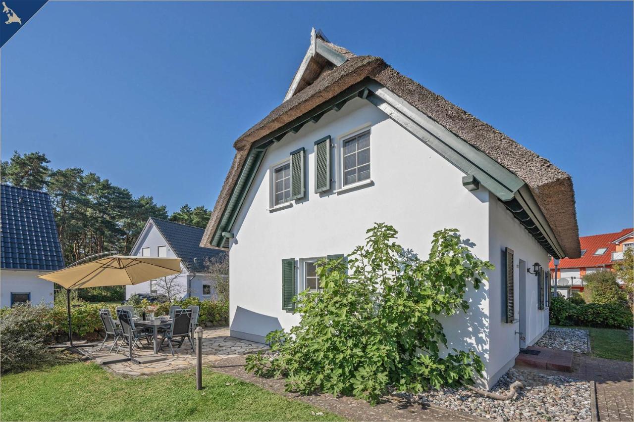 Reethus am Küstenwald - Ferienwohnung Koserow/Insel Usedom