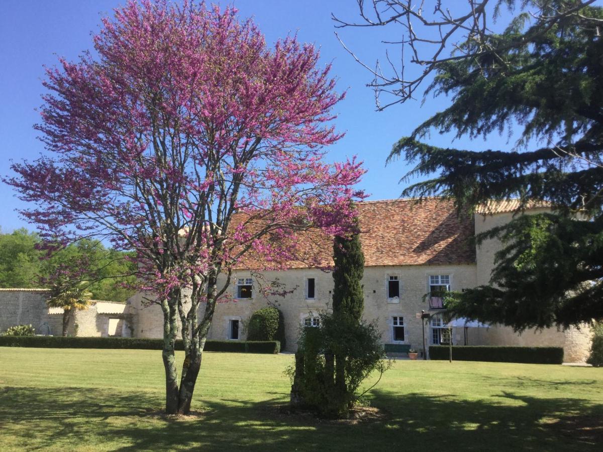Chateau de Lugérat - 4 chambres - 2 et 3 personnes - B&B Montignac-Charente
