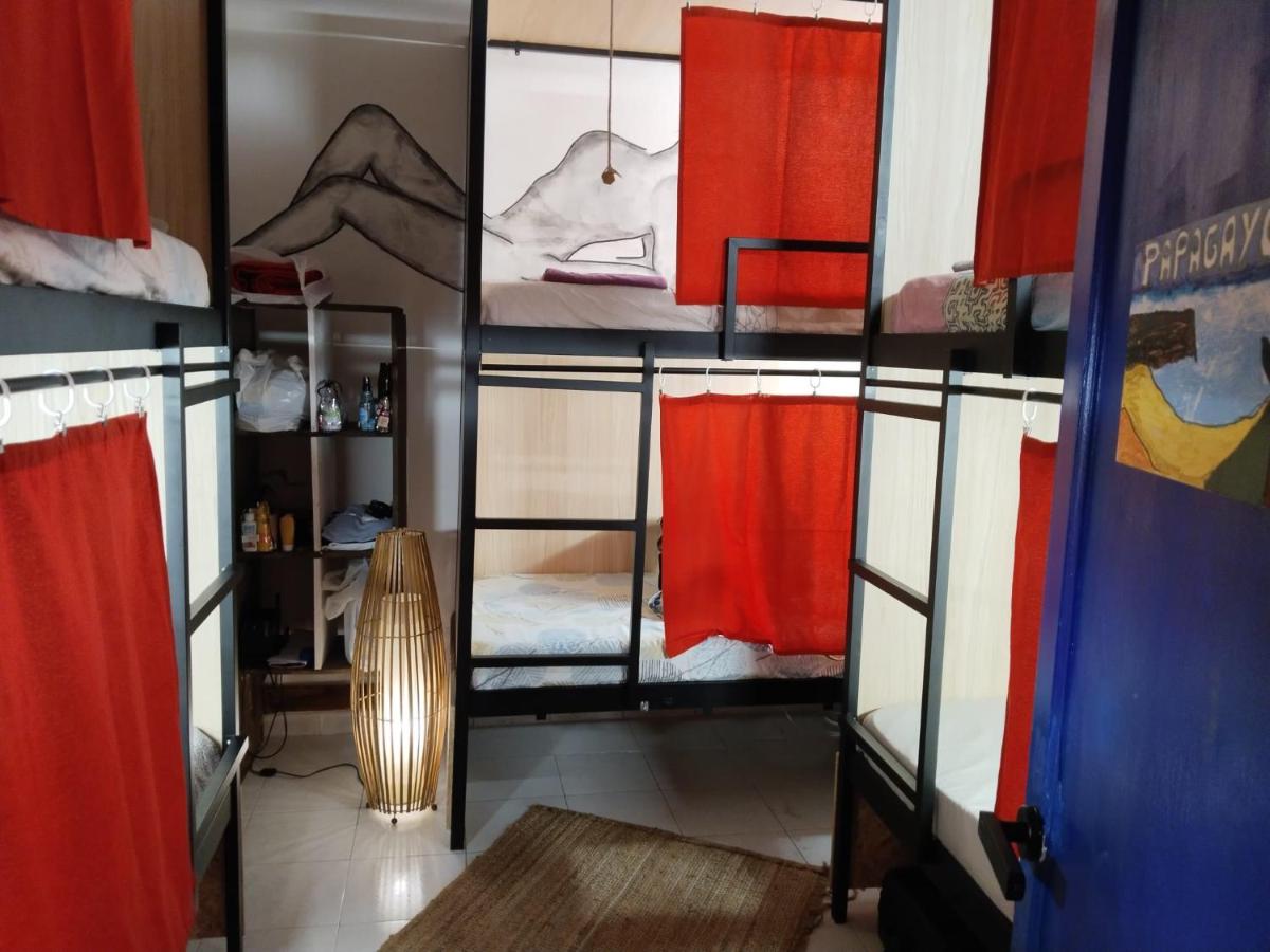 Bed in 4-Bed Mixed Dormitory Room