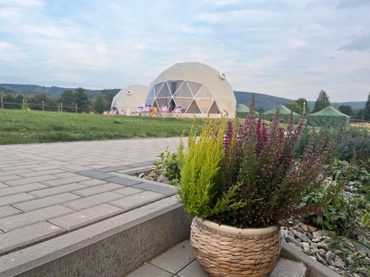 Tatra Glamp Okrzeszyn - Siec noclegowa Tatra Glamp - B&B Okrzeszyn