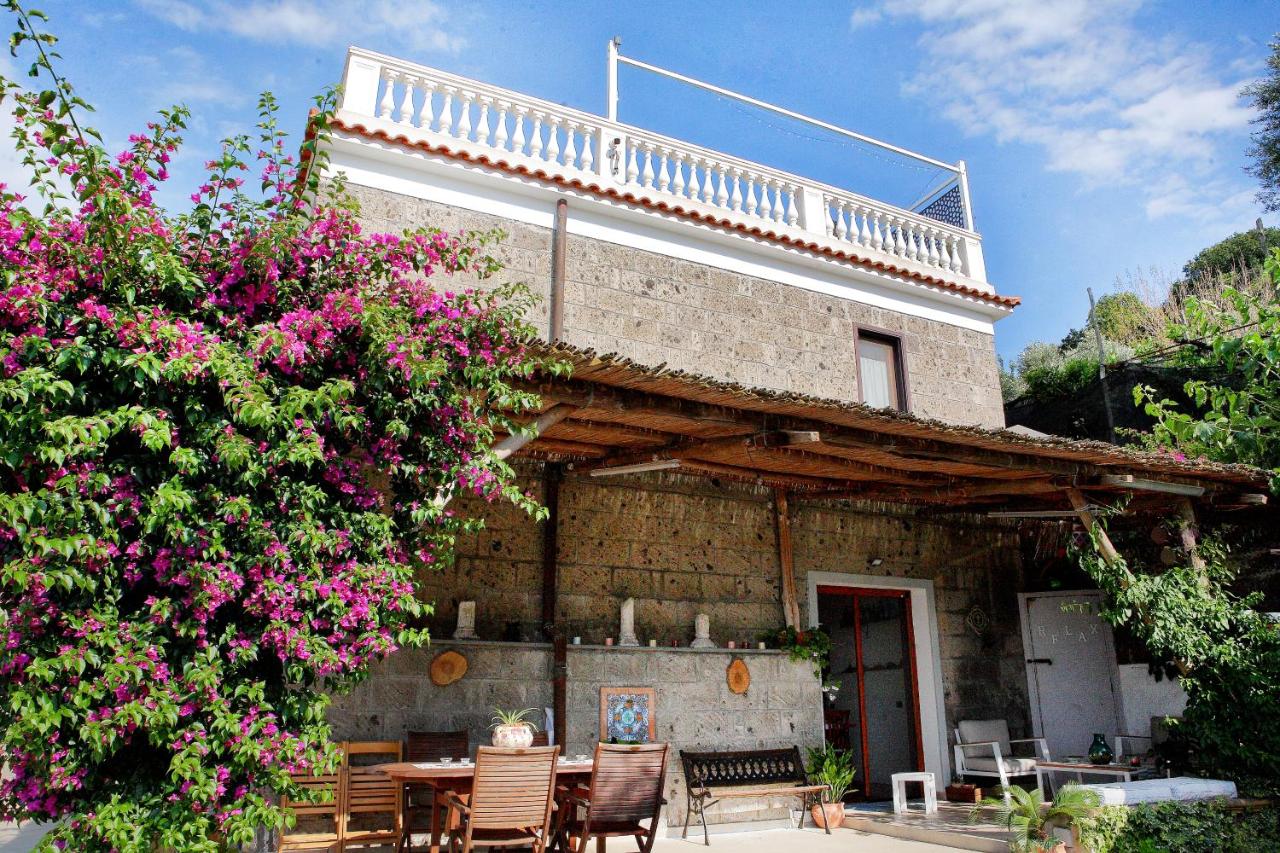 Villa Flore - B&B Colli di Fontanelle