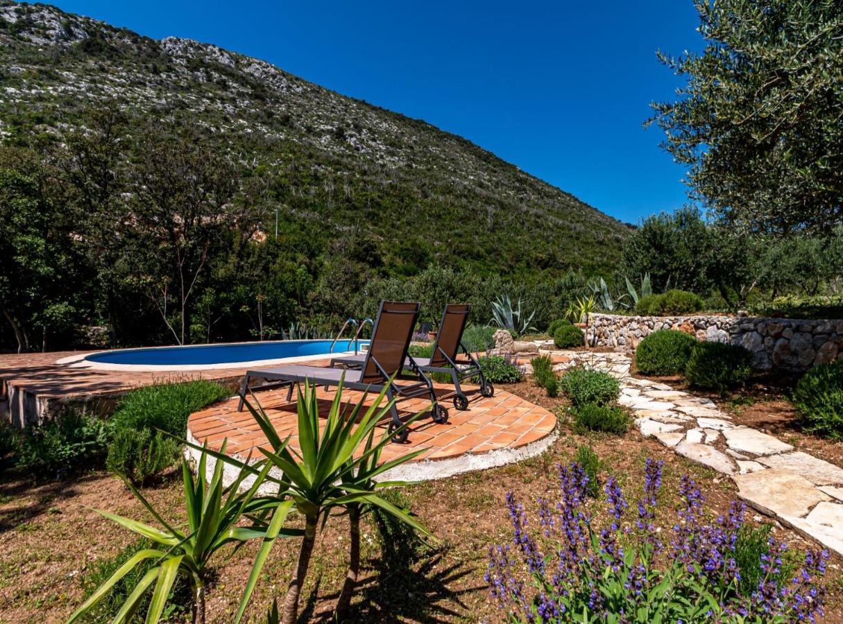 Stone House Anfitrite - B&B Trstenik