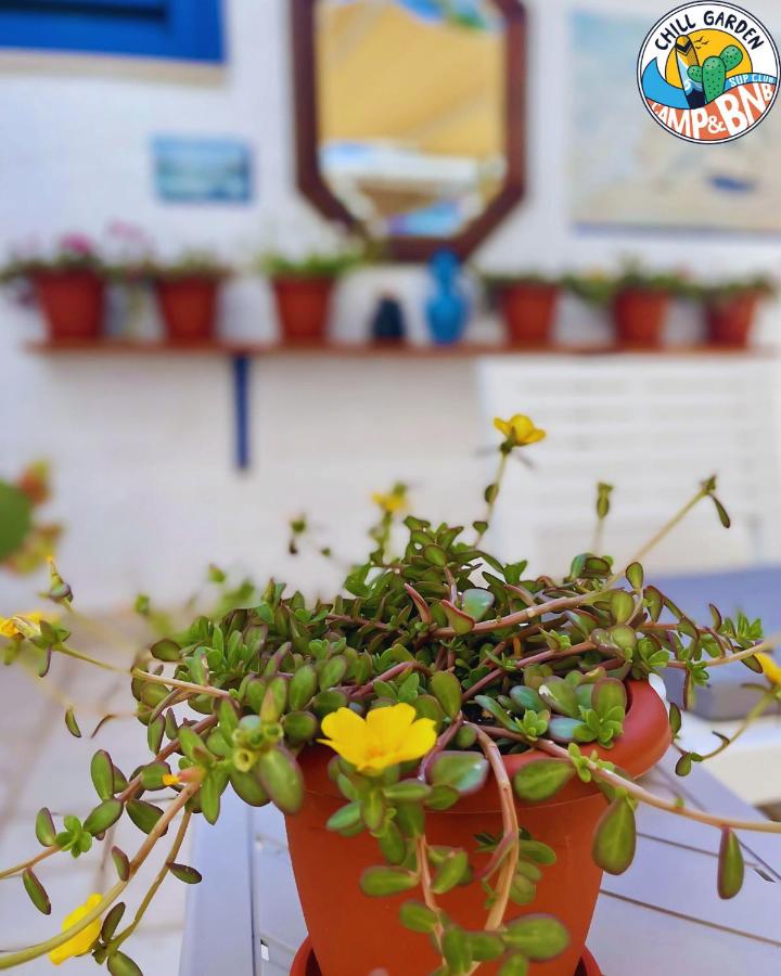 Chill Garden Experience B&B - B&B