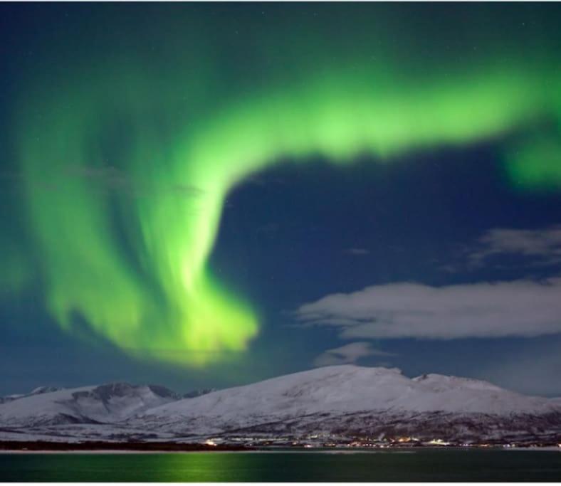 Moderne og privat leilighet i Tromsø- gratis parkering! - B&B Tromsø