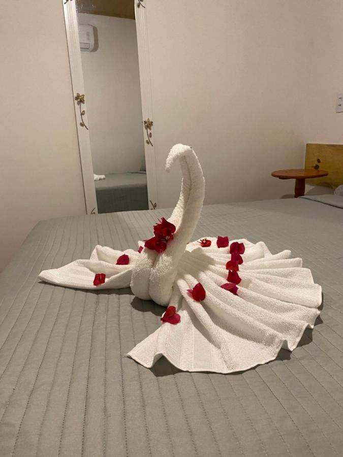 Appartement - Begane Grond