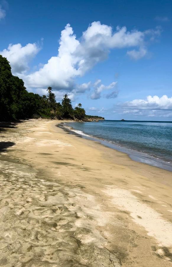 Bliss Oasis Hideaway - Chambres d’hôtes Buccoo