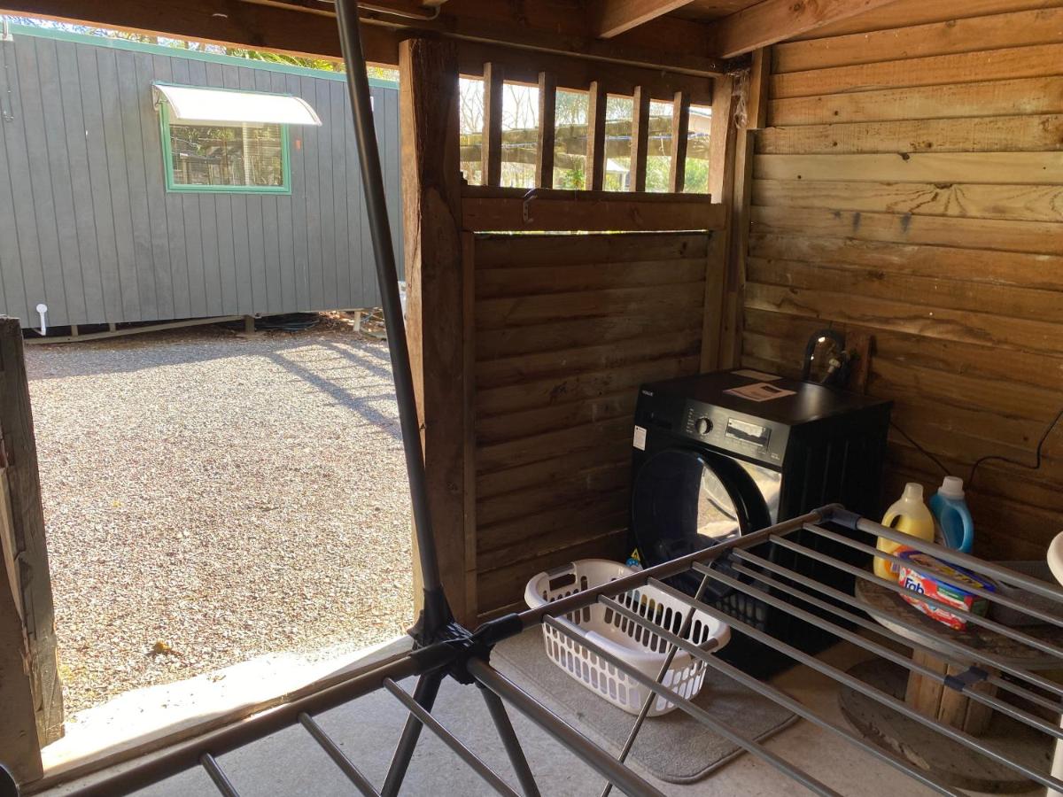 Studio with Garden View