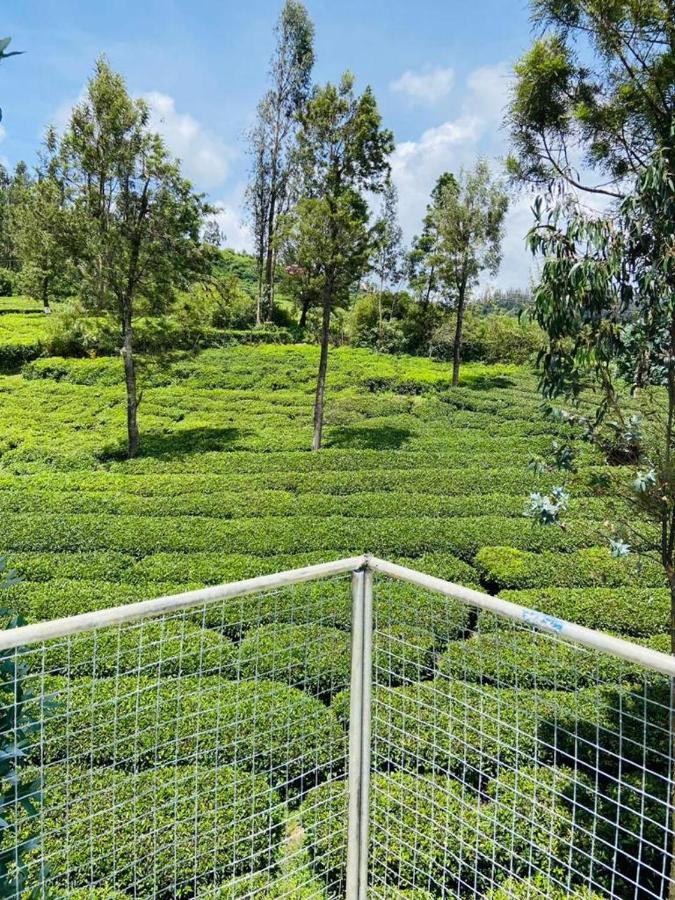 The green wood ooty - B&B