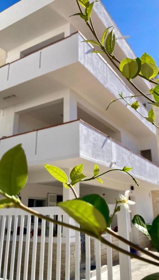Relax and Comfort 3 Bedrooms with AC Near the Beach with Terrace and Free Parking - B&B Alcamo